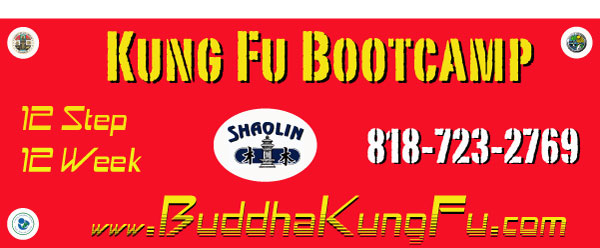http://www.BuddhaKungFu.com/bootcamp